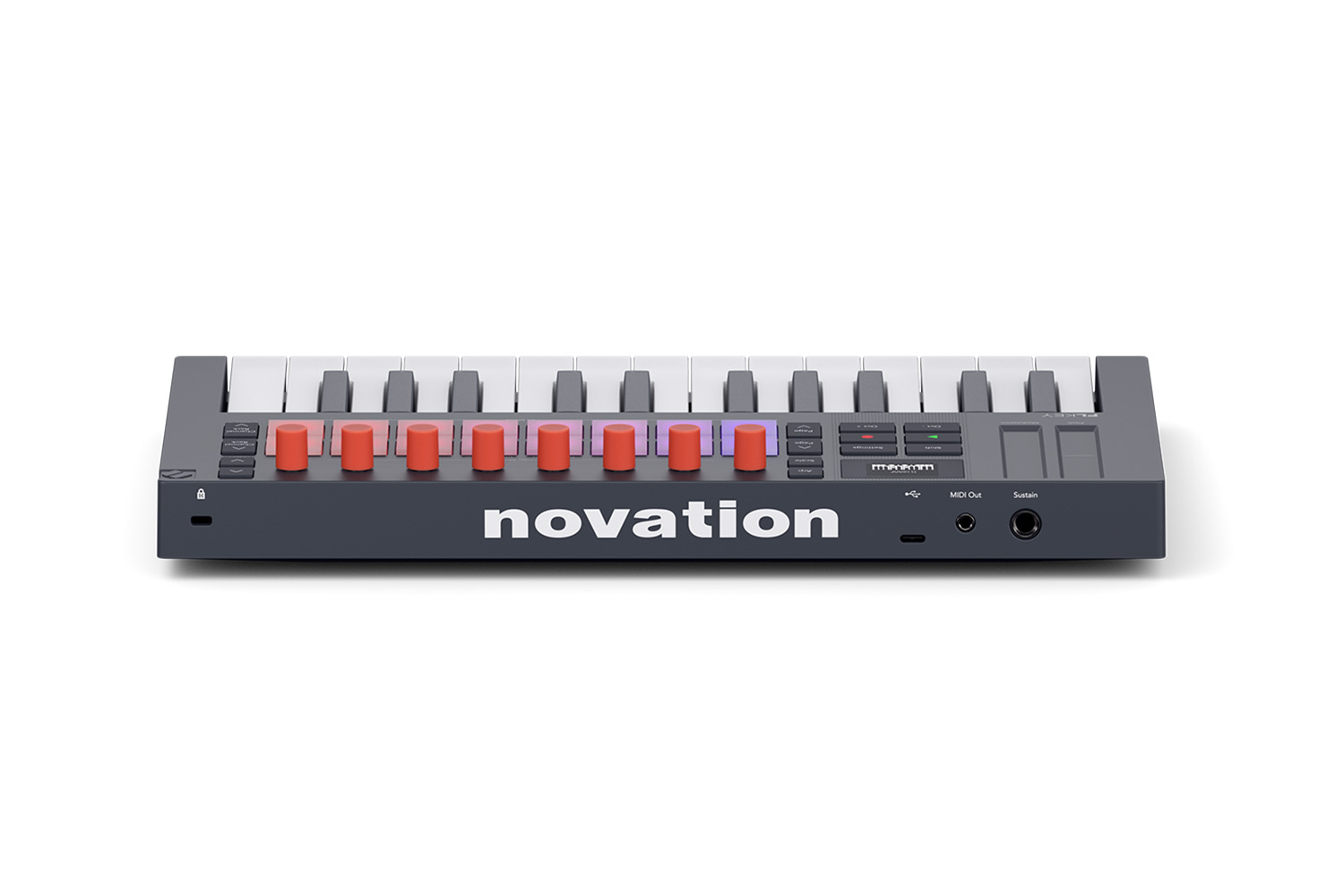 FLkey Mini 25 - Image 5